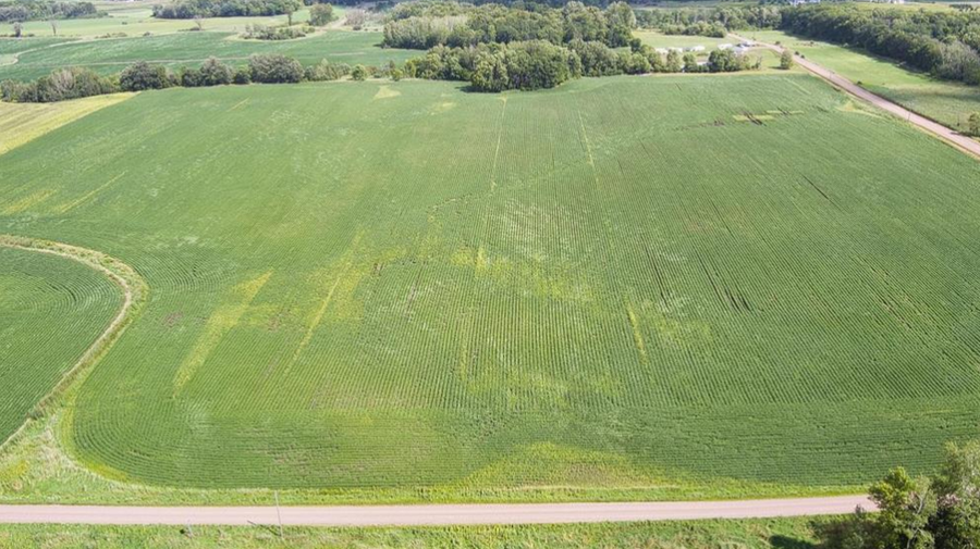 8108 55th Avenue, Princeton, MN 55371 - #3
