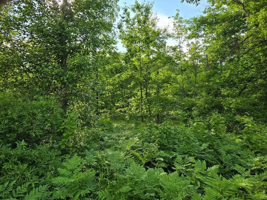 TBD State 84 Ne, Longville, MN 56655 - #3