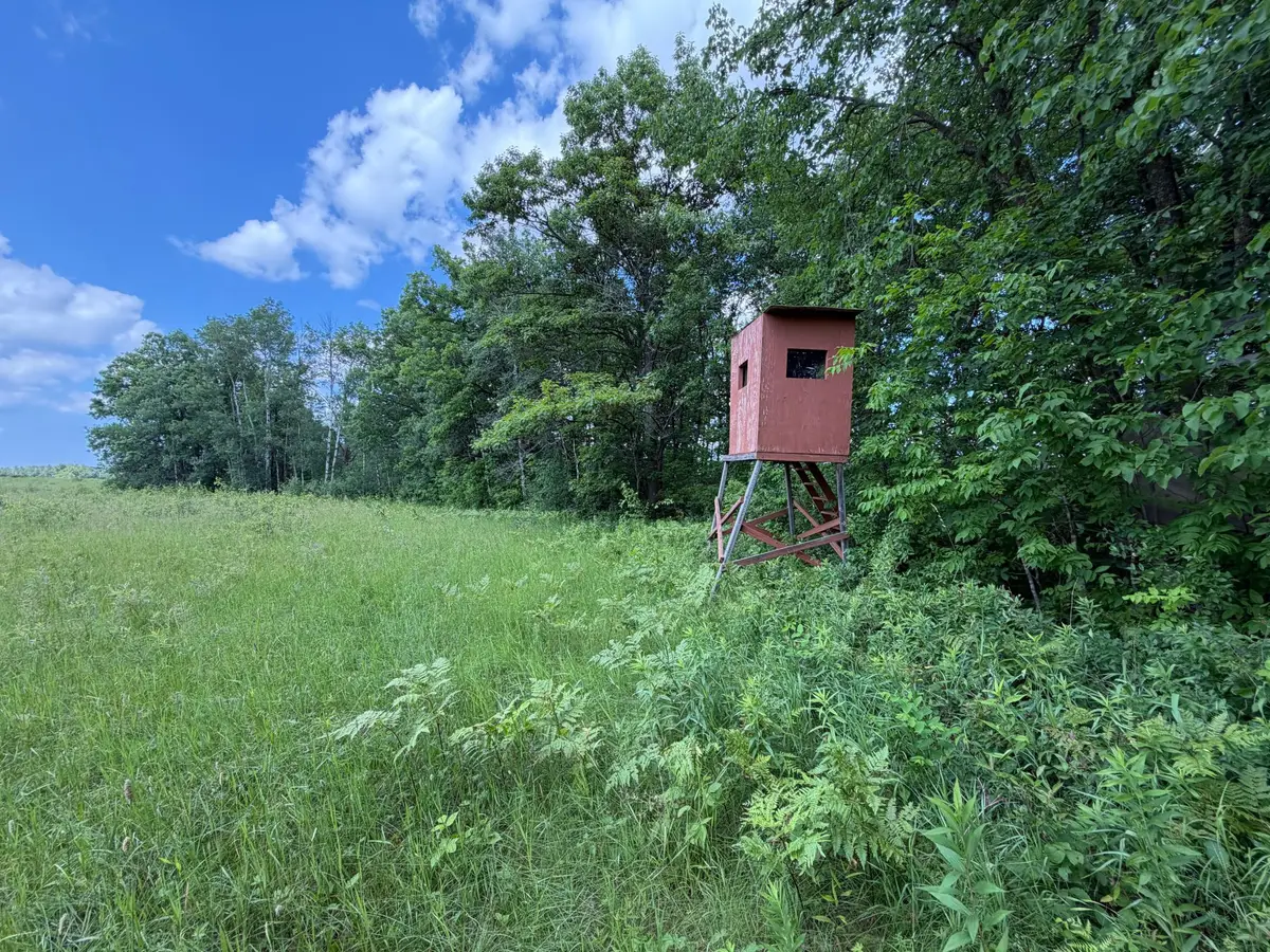 32723 125th Avenue, Onamia, MN 56359 - #1