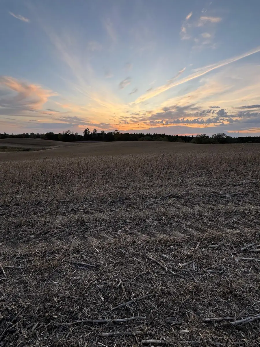 TBD Placid Drive, Dent, MN 56528 - #3