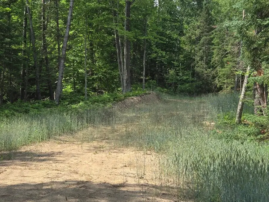 TBD County 54 Ne, Longville, MN 56655 - #3