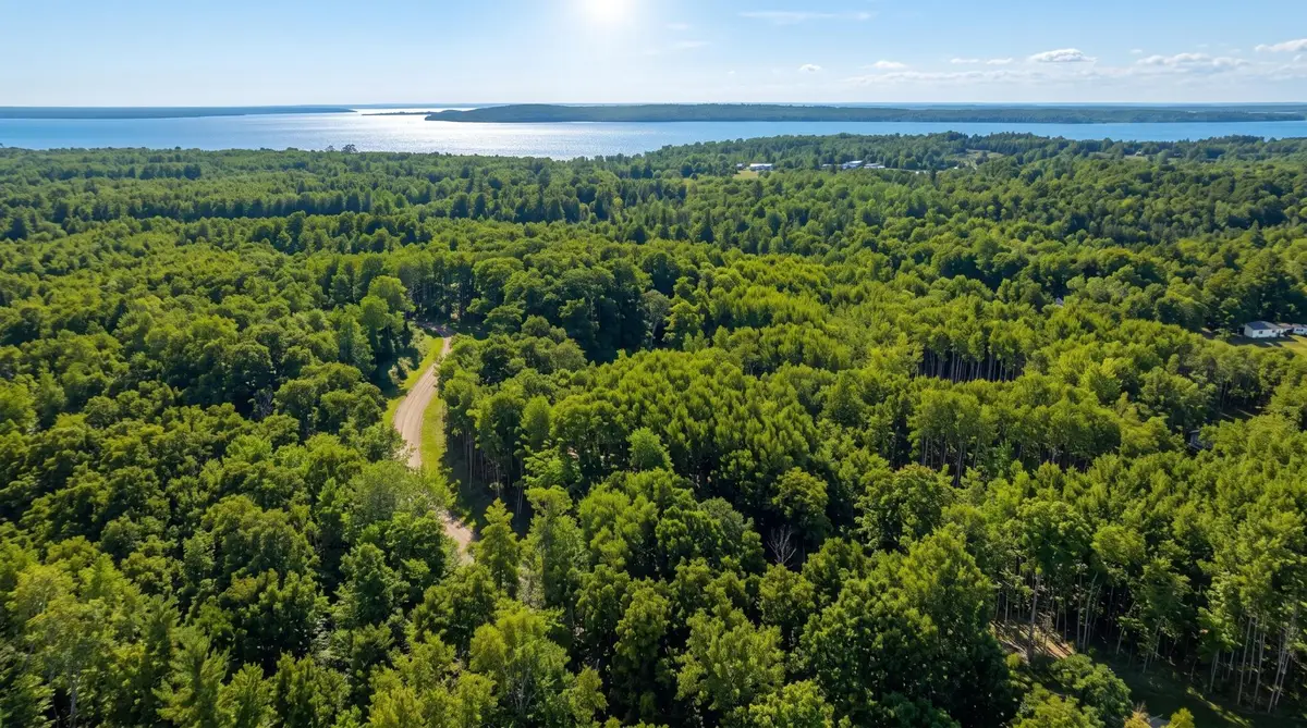 TBD Lot 2, Walker, MN 56484 - #1