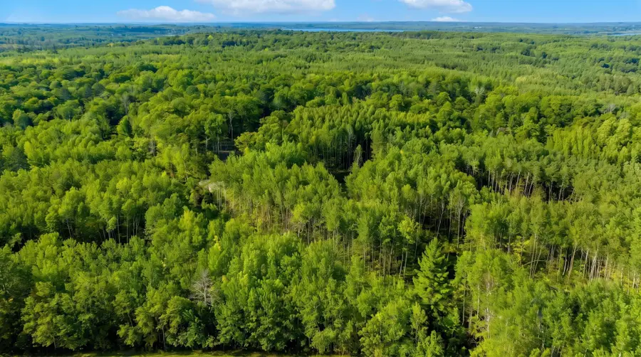TBD Lot 2, Walker, MN 56484 - #2