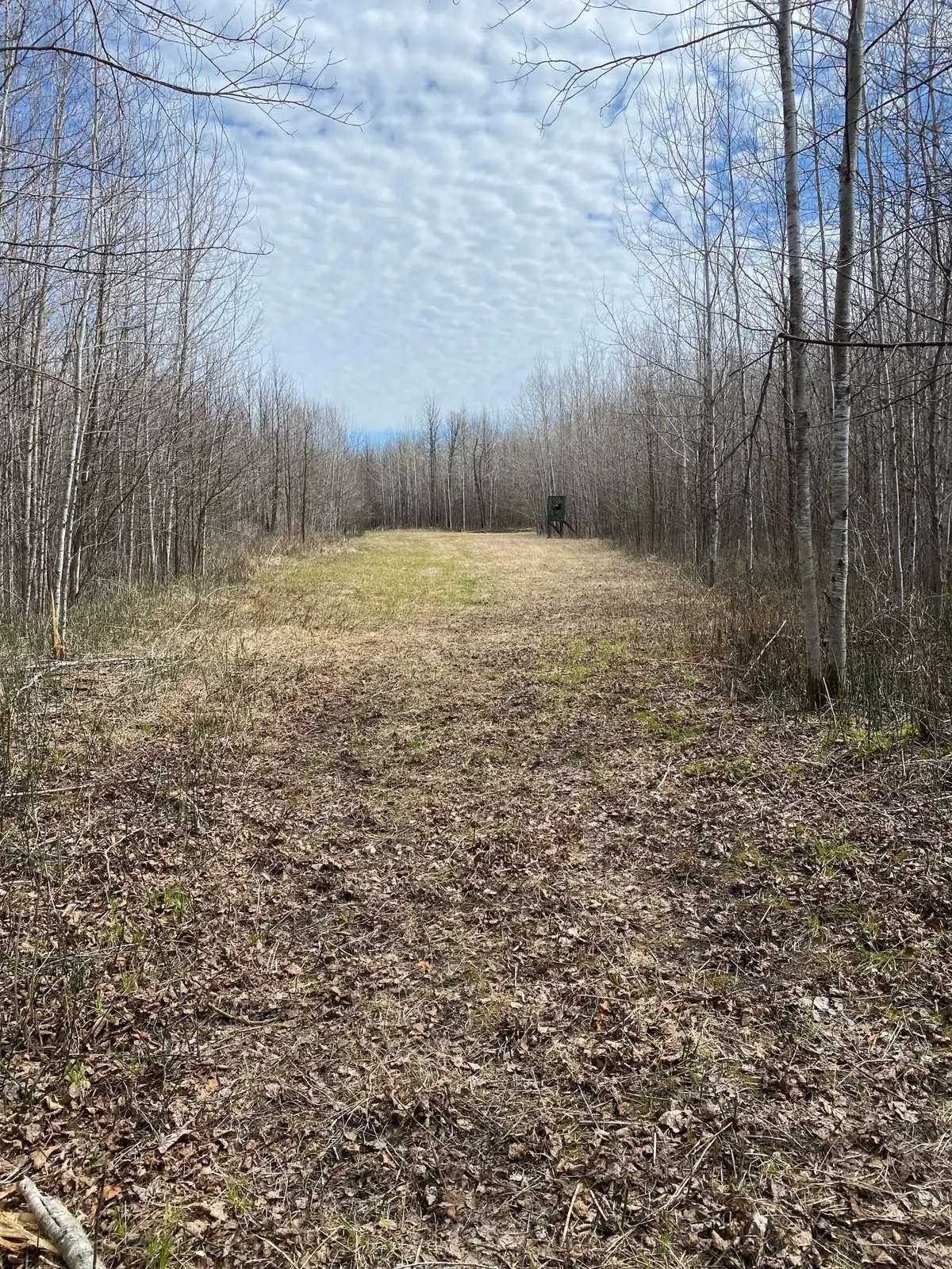 TBD County Road 79, Rainy Lake, MN 56649 - #1