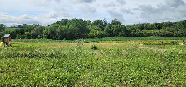 1042 3rd Street, Wanamingo, MN 55983