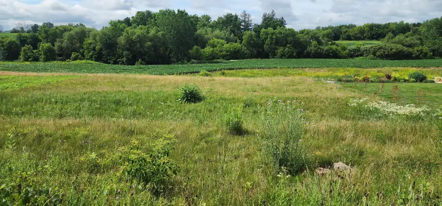 1042 3rd Street, Wanamingo, MN 55983 - #2