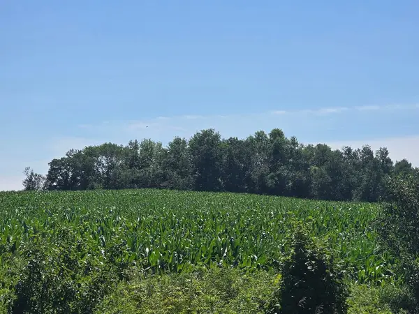 0 110th, Frederic, WI 54837