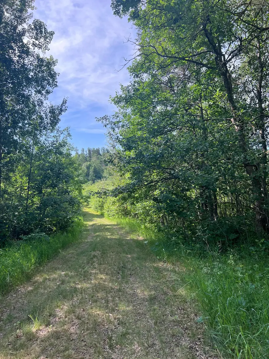 TBD Main Street E, Menahga, MN 56464 - #3