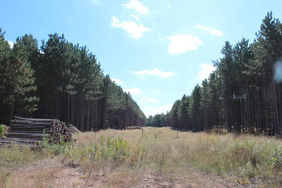 XXX Hay Creek Boulevard, Grantsburg, WI 54840 - #2
