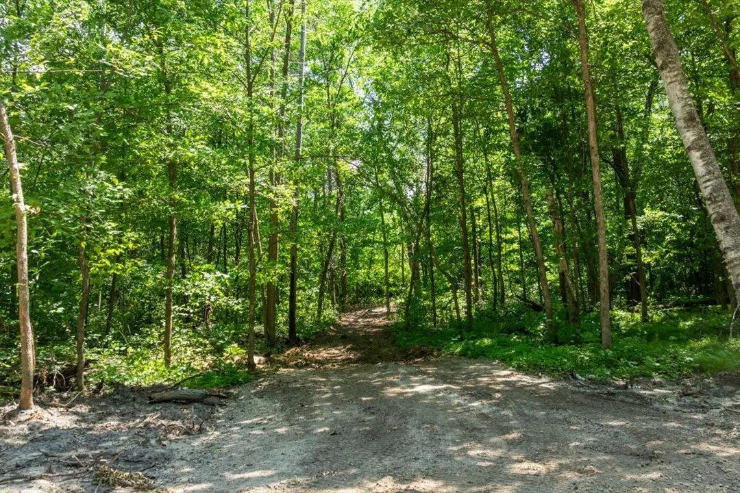 TBD Lot B Hidden Pond Lane, Pequot Lakes, MN 56472 - #1