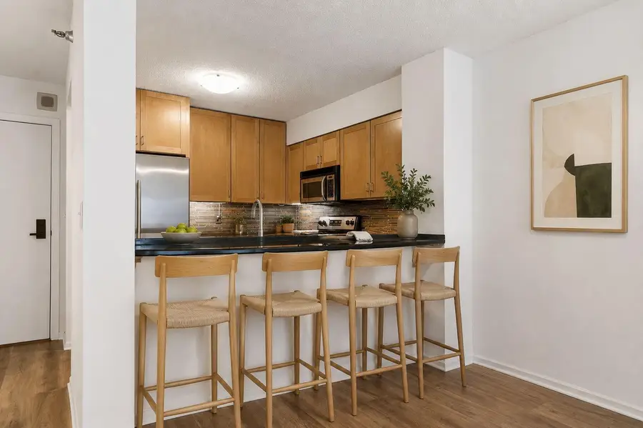 401 1st Street S #203, Minneapolis, MN 55401 - #3