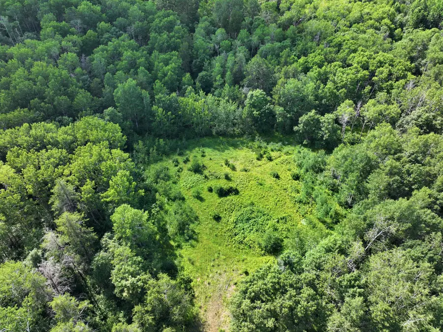 TBD Us 71 - 16.7 Ac, Park Rapids, MN 56470 - #3
