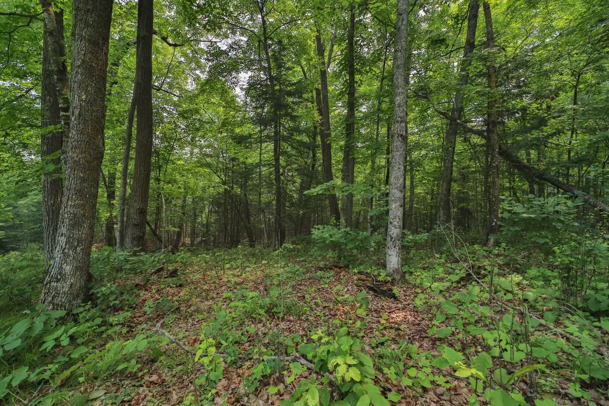TBD 178th Ln/garden Lane, McGregor, MN 55760 - #1