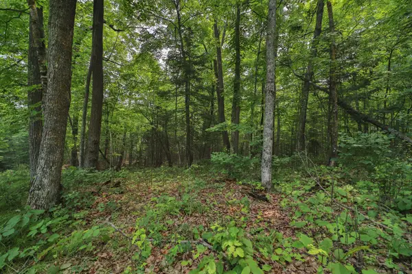 TBD 178th Ln/garden Lane, McGregor, MN 55760