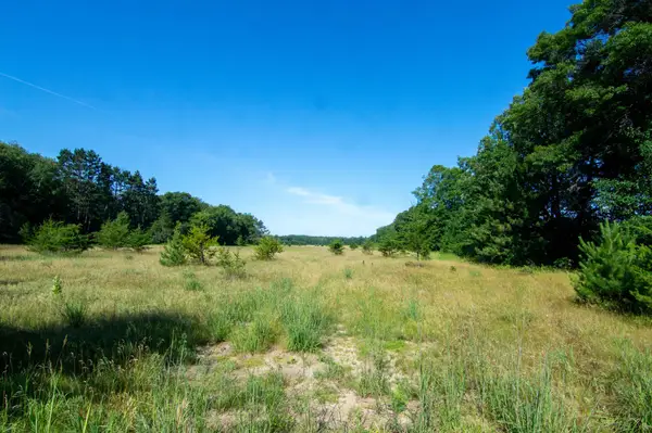 TBD County Road 19, Merrifield, MN 56465