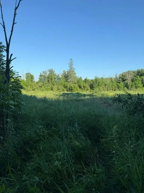 TBD Tbd, Pine River, MN 56474 - #3