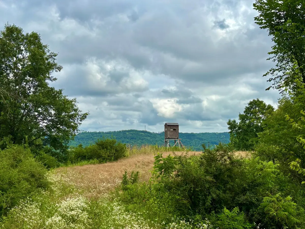 TBD89 County 13, Houston, MN 55943 - #1
