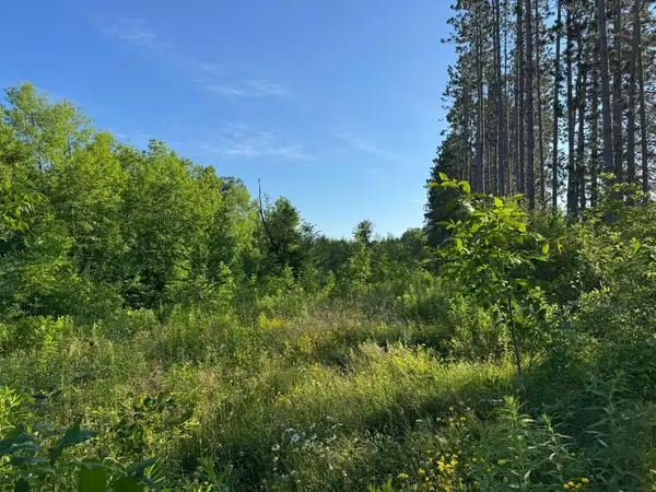 TBD-2 N Riverside Road, Moose Lake, MN 55767