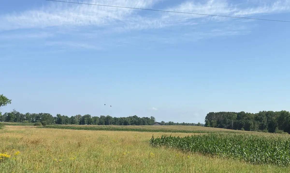 19285 90th Avenue, Milaca, MN 56353 - #1