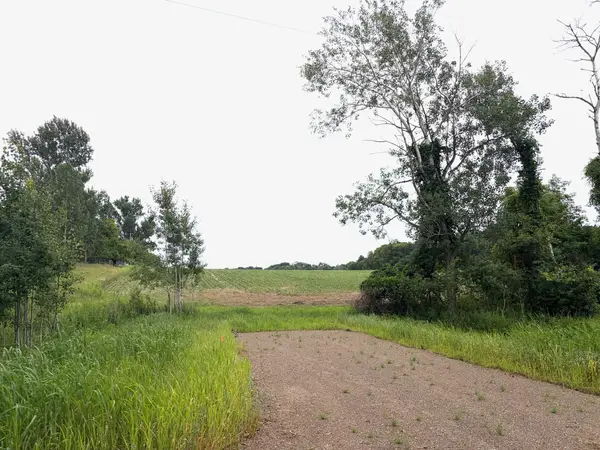 TBD (L1B1) Flamingo Street Nw, Isanti, MN 55040