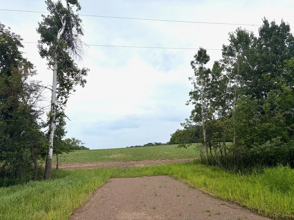 TBD (L2B1) Flamingo Street Nw, Isanti, MN 55040 - #1