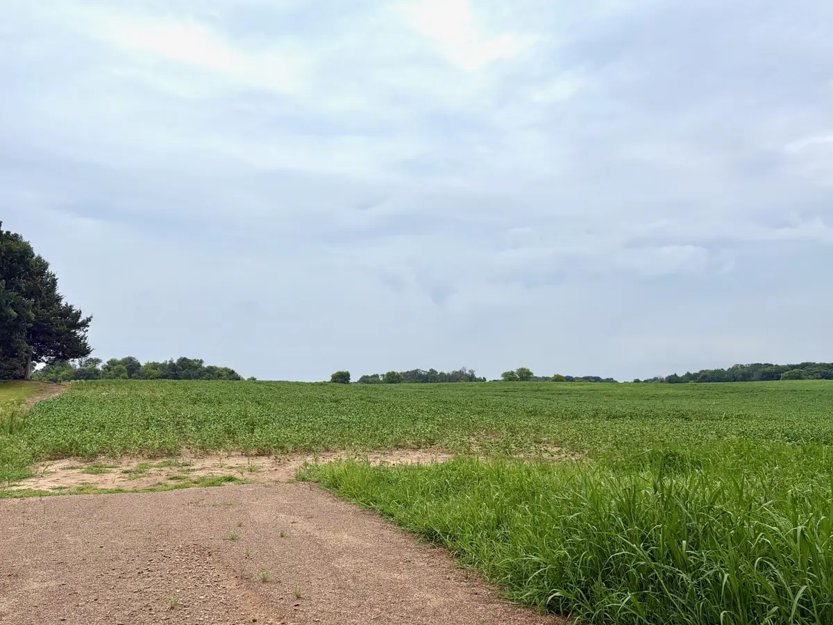 TBD (L1B2) Flamingo Street Nw, Isanti, MN 55040 - #1