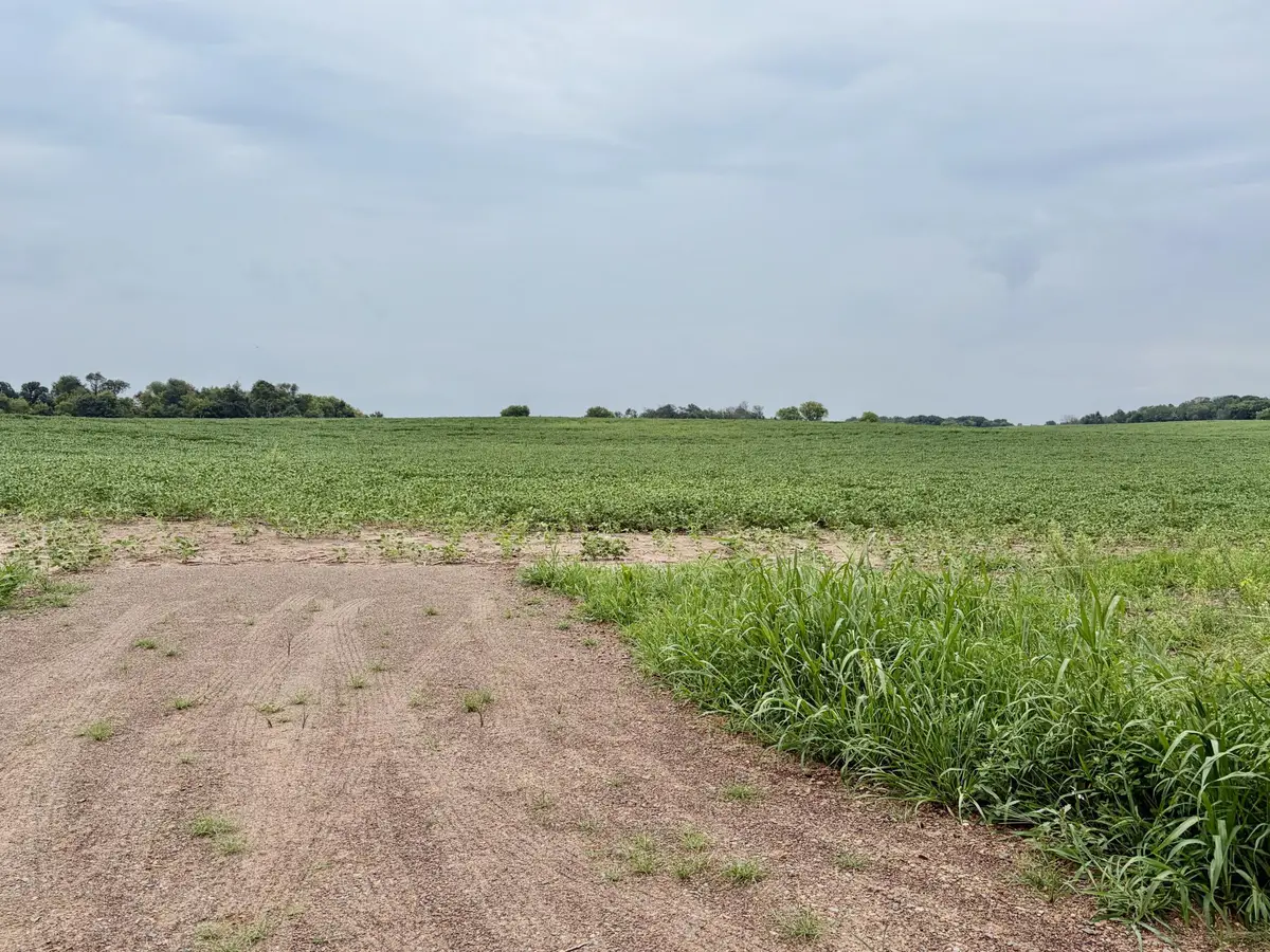 TBD (L2B2) Flamingo Street Nw, Isanti, MN 55040 - #1