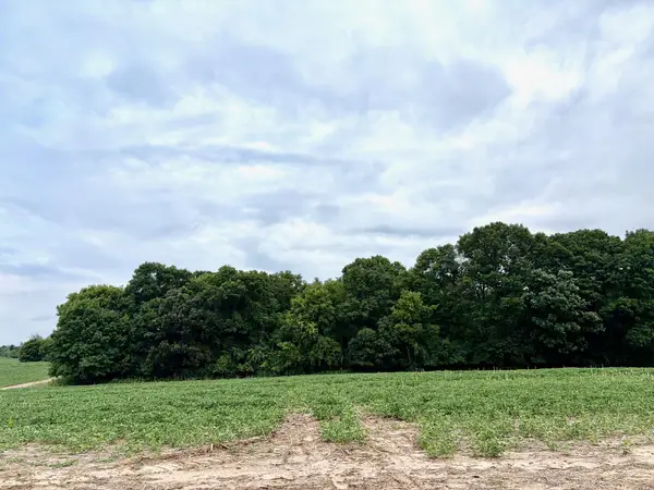 TBD (L10B2) County Road 5 Nw, Isanti, MN 55040