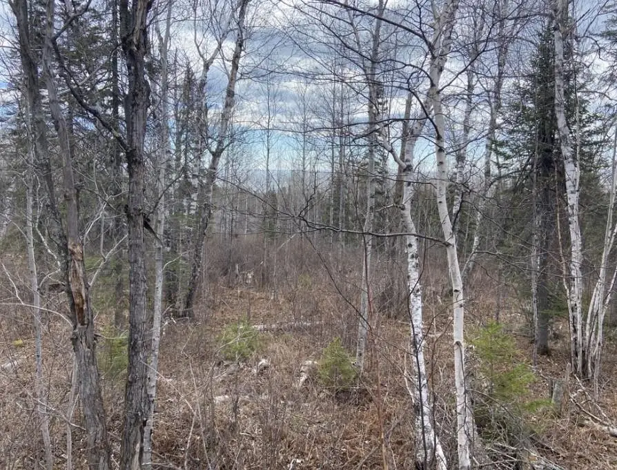 000 Aspen Lane, Silver Bay, MN 55614 - #1