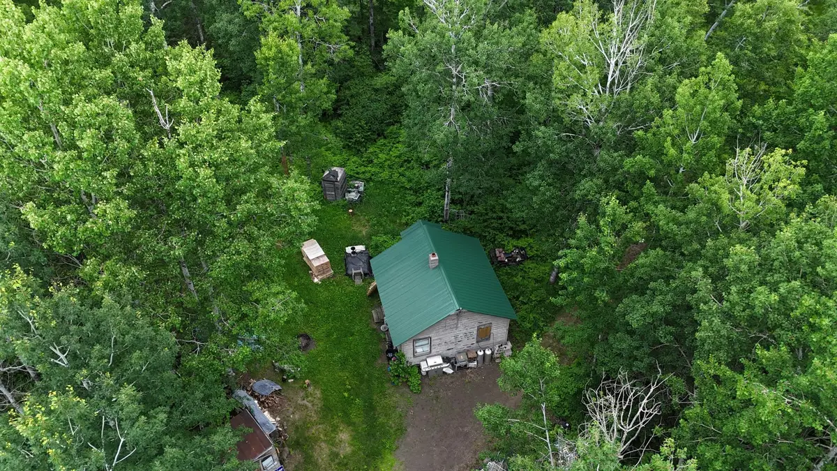 3xxx Quaal Road, Forbes, MN 55738 - #1