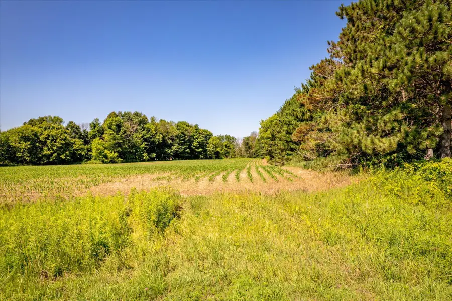 XXX Sugarbush Road, Nowthen, MN 55330 - #3
