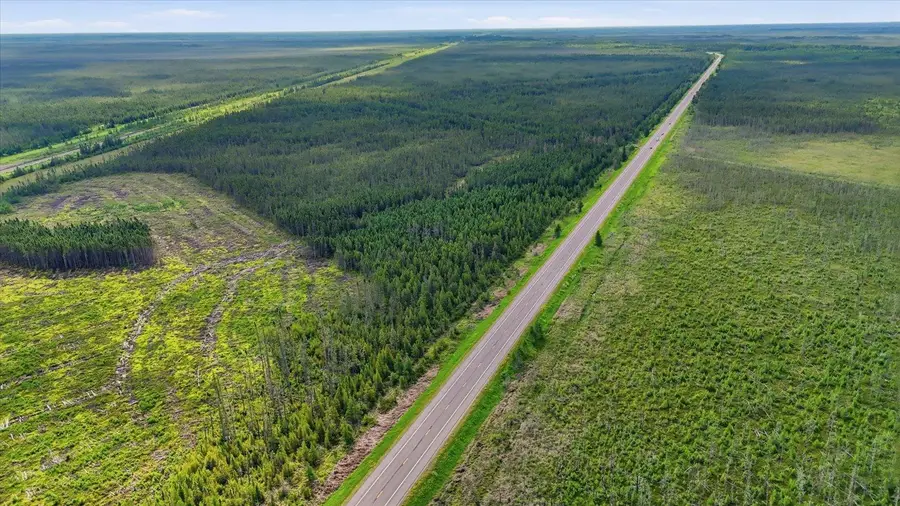 11352 Highway 2, Wawina, MN 55736 - #3