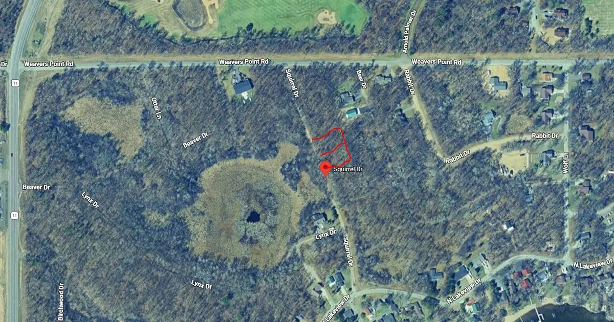 xxx TBD Lots 173 & 174 Squirrel Drive, Breezy Point, MN 56472 - #1