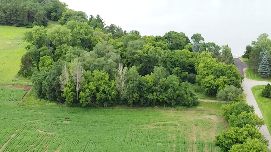 2A Briarwood Ave Se, Buffalo, MN 55313 - #3