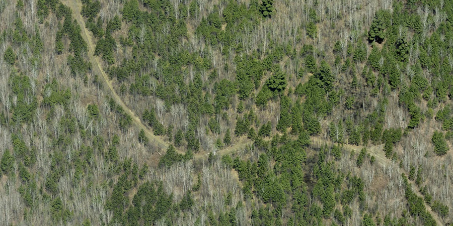Lot B Hwy. 24, Orr, MN 55771 - #3