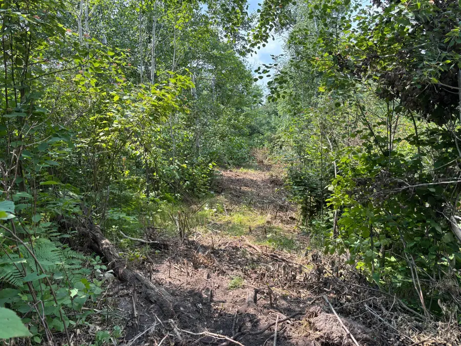 TBD Woodland Hills Drive Se, Bemidji, MN 56601 - #3