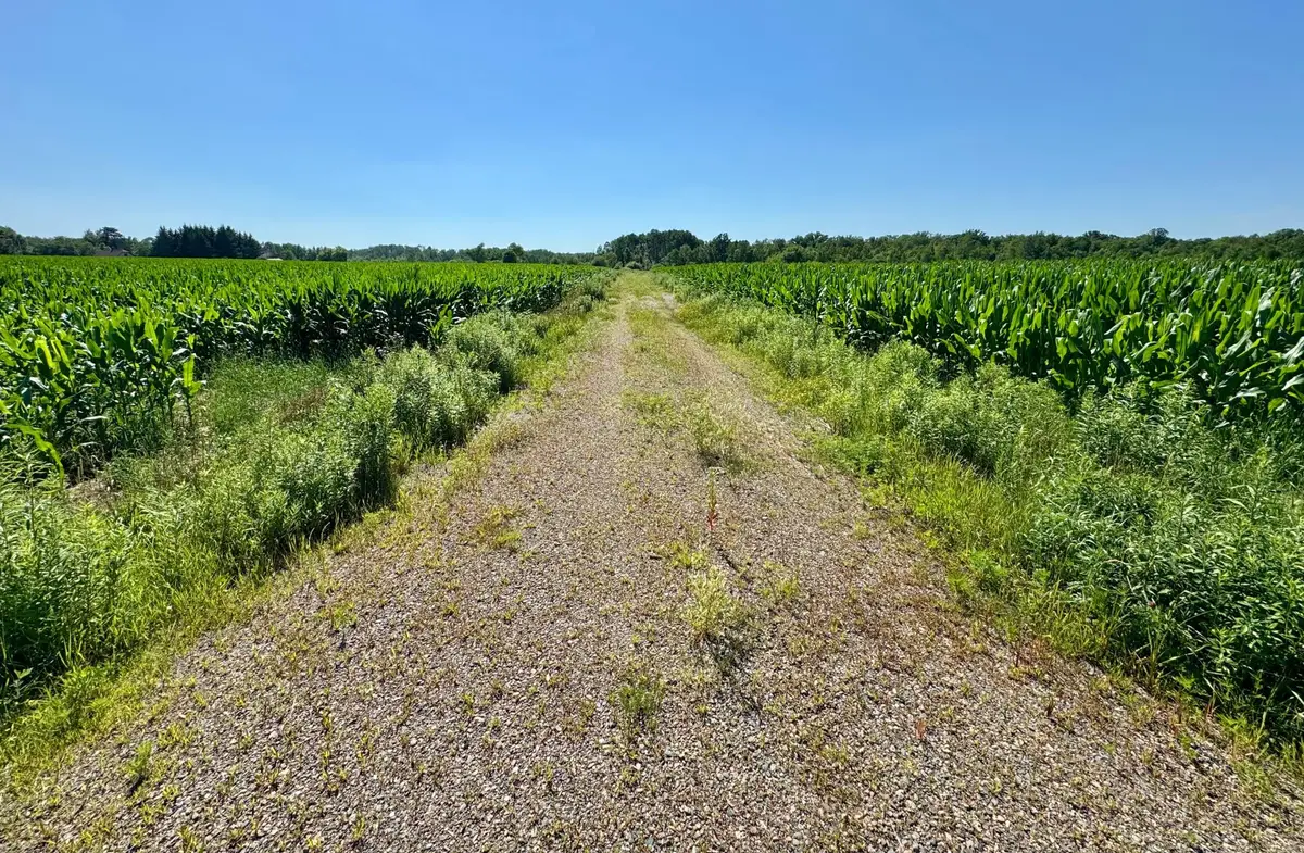 17891 90th Avenue, Milaca, MN 56353 - #1
