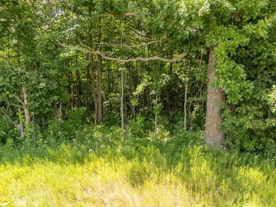 TBD XXX County Road 3, Eagle Bend, MN 56446 - #3