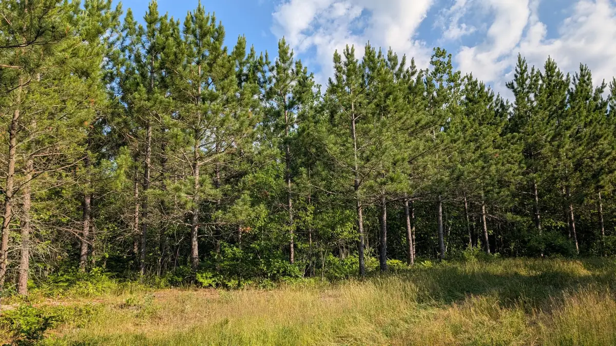 Lot C Hwy. 24, Orr, MN 55771 - #1