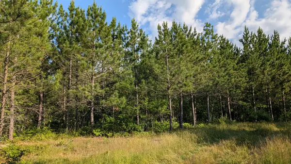 Lot C Hwy. 24, Orr, MN 55771