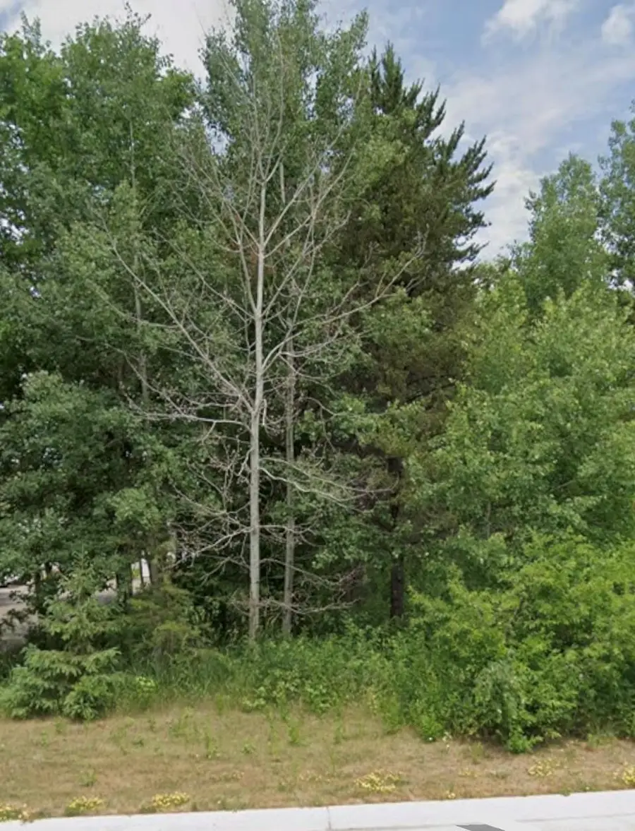Lot 15 Pine Street, Brainerd, MN 56401 - #2