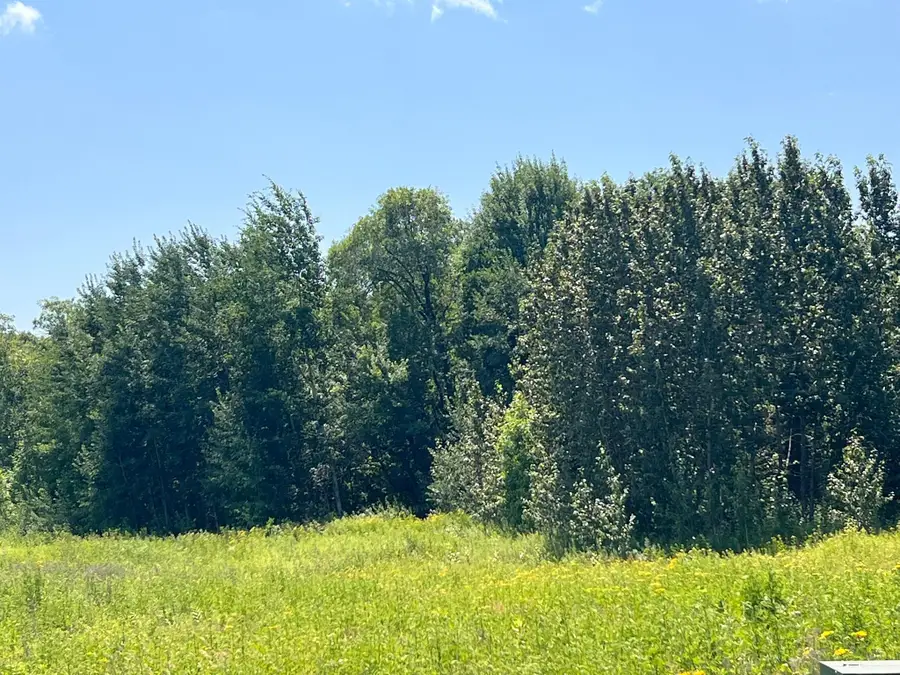 36200 County Road 39, Laporte, MN 56461 - #2