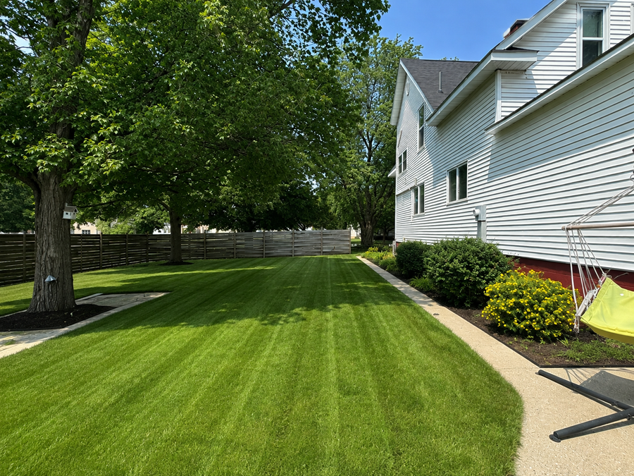 98 Vernon Avenue, Morgan, MN 56266 - #3