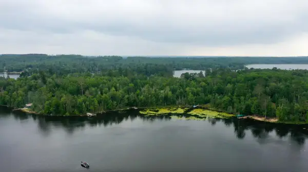 TBD Muskego Bay, Cook, MN 55723