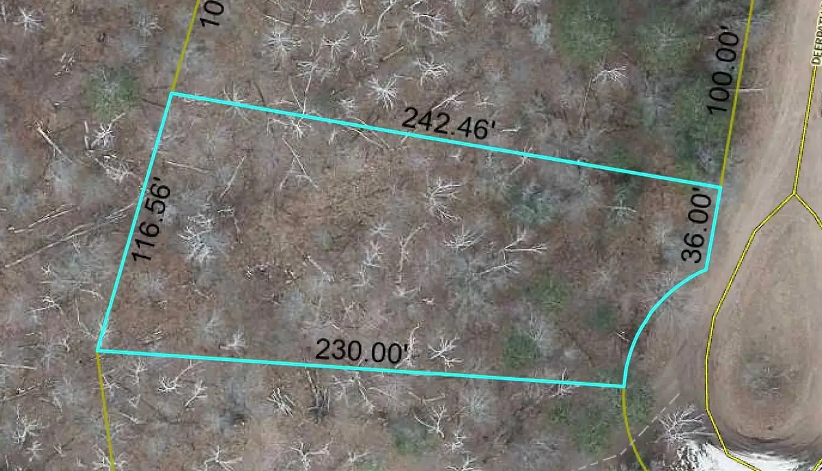 Lot 196 Deerpath Pass, Danbury, WI 54830 - #1