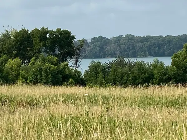 TBD 767th Avenue, Albert Lea, MN 56007