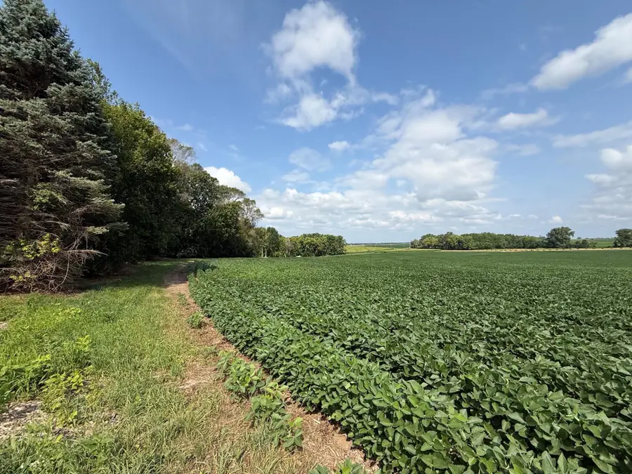 Lot A Lehigh Road, Cottage Grove, MN 55016 - #2