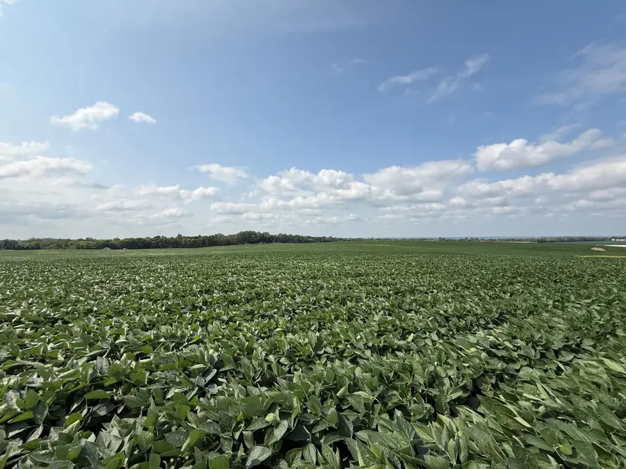 Lot B Lehigh Road, Cottage Grove, MN 55016 - #2