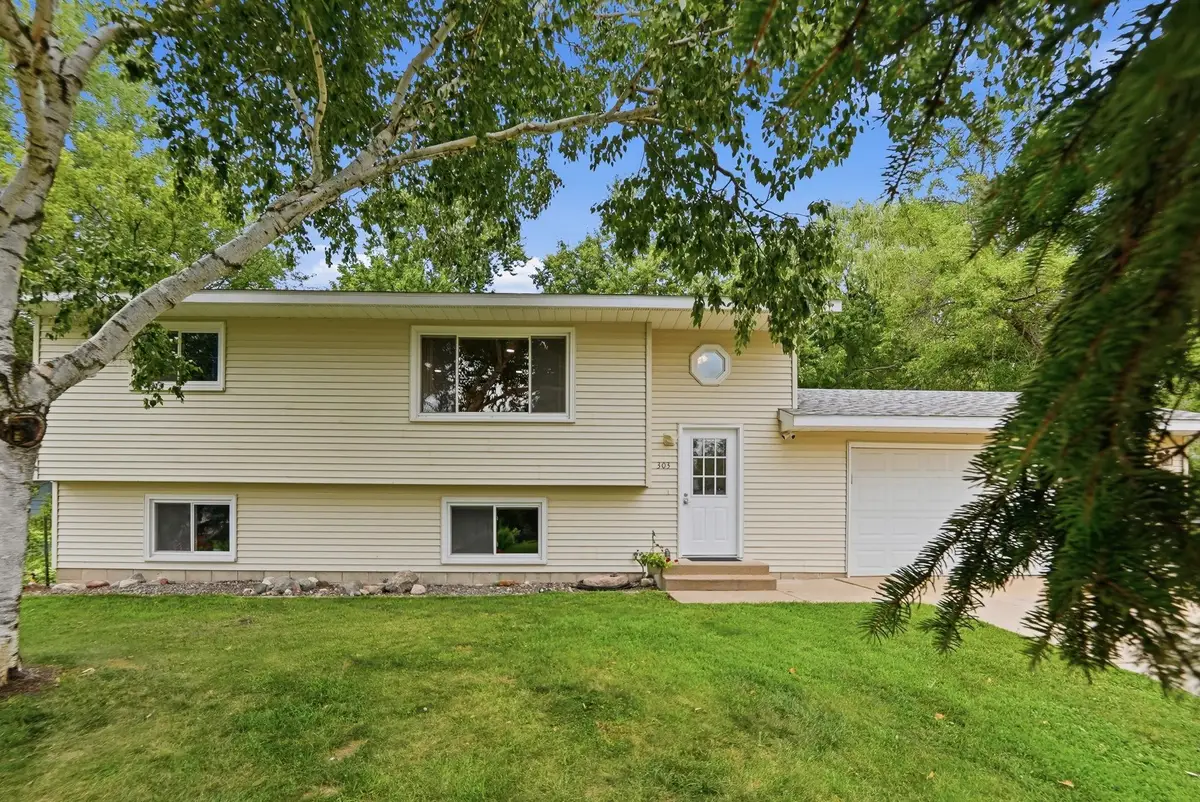 303 Upplanda Street, Buffalo, MN 55313 - #1