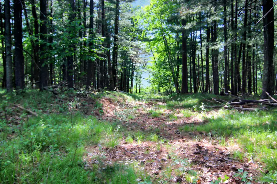 4294 Nod A Way Drive, Nisswa, MN 56468 - #3